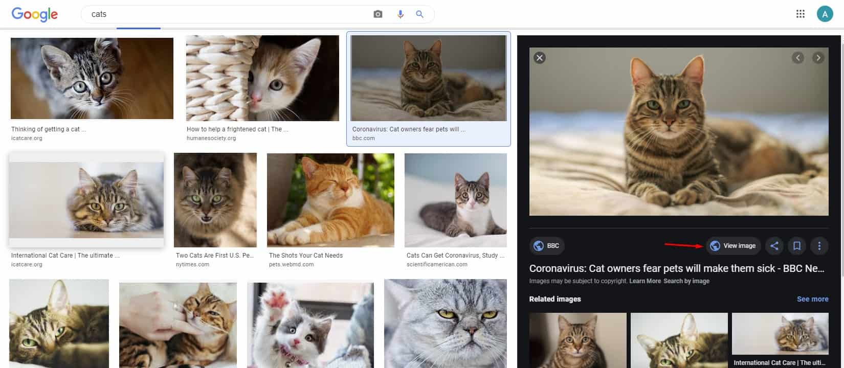 طريقة تحميل الصور من جوجل للكمبيوتر لحفظها على جهازك